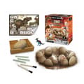 Miniatyrbild 2 av 6: Dino Egg Maxi Pack Buki Box - 12 dinosaurier - Utgrävningsverktyg - Bricka - Affisch