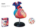 Miniatyrbild 1 av 3: Human Anatomy Heart Anatomihjärta 4D Master