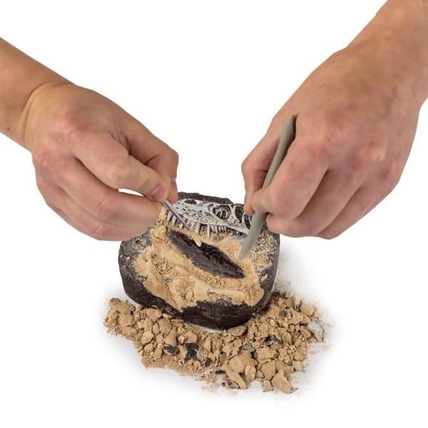 BANDAI National Geographic - Dig Kit: Dinosaur Fossils - Ny version