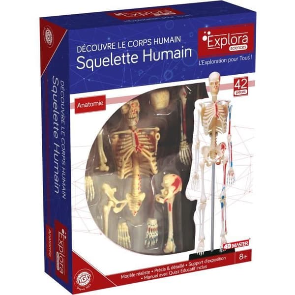 MGM - Explora - Skeletal Anatomy - Anatomy Experiment
