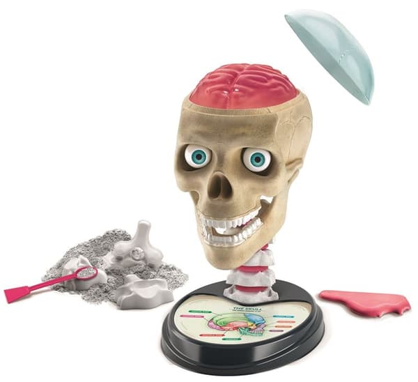 Clementoni Crazy Anatomy