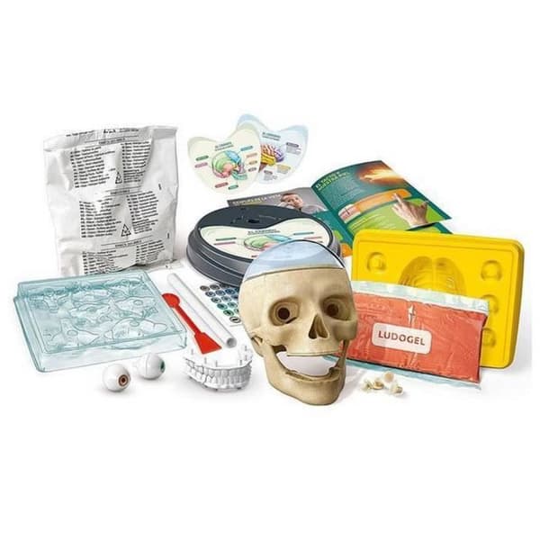 Clementoni Ciencia y Juego Multicolor tillämpar inte vetenskap och experimentspel (Clementoni S.p.A 55416)