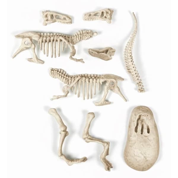 Clementoni - Vetenskap och spel - Archéo Ludic - T-Rex
