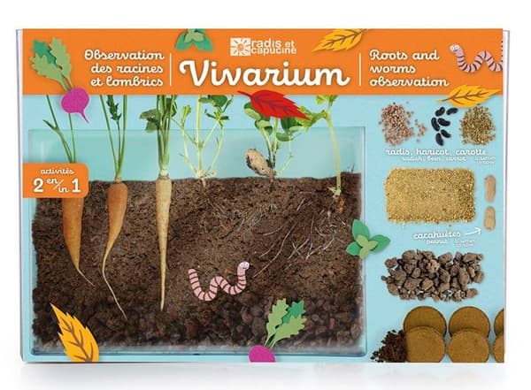 Visio Utforska naturen - Upptäckt av rötterna och...