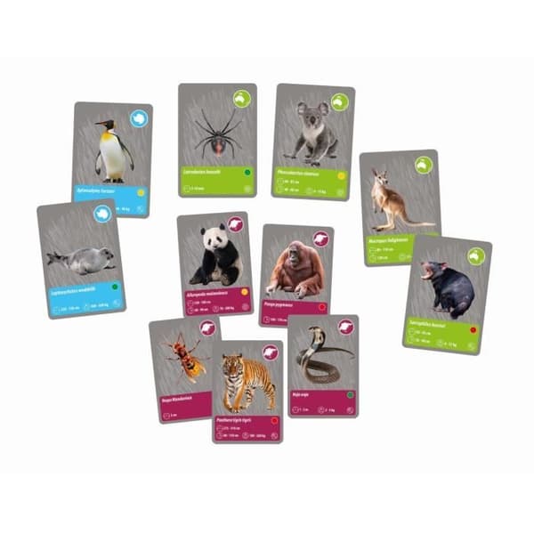 CLEMENTONI - Animals planet Reality - Vetenskaplig box - Vetenskapliga experiment och virtuella aktiviteter - Formar, färger,