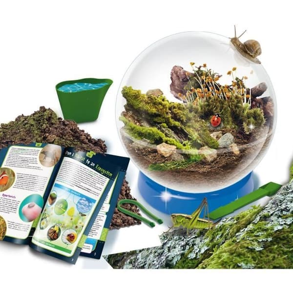 Interaktivt ekosystem - LISCIANI - Jag är ett geni - Habitat & ekosystem - Reproducera naturliga livsmiljöer - Illustrerad manual