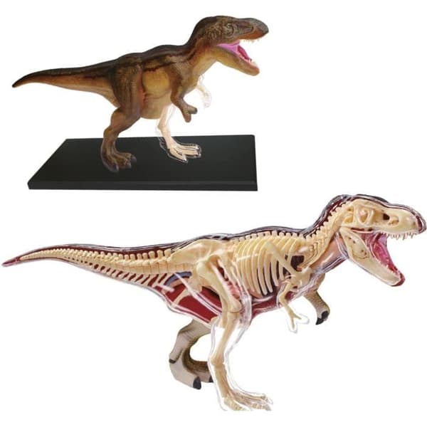 Vetenskapligt spel Palaeontology T-REX dinosaurie - Deluxe edition - MGM - Explora sciences