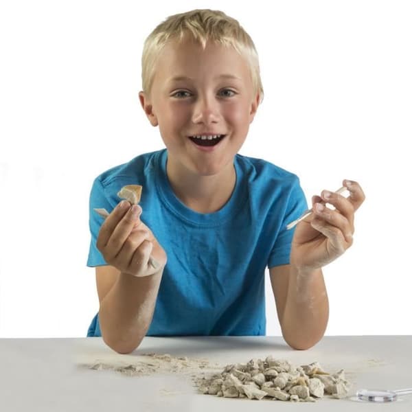BANDAI National Geographic - Dig Kit: Shark Teeth