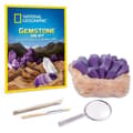 Miniatyrbild 3 av 6: National Geographic - Utgrävningssats: Ädelstenar