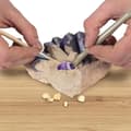 Miniatyrbild 4 av 6: National Geographic - Utgrävningssats: Ädelstenar