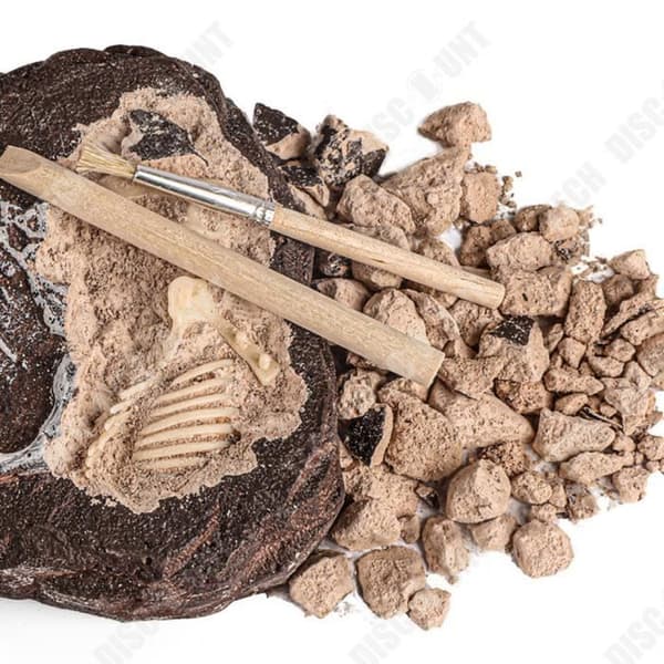 TD® Pedagogiska DIY Dinosaur Fossil arkeologiska utgrävningsleksaker för barn Tyrannosaurus Rex