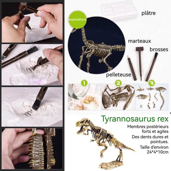 TD® Dinosaurieskelett arkeologiska utgrävningsleksaker för barn Jurassic Tyrannosaurus Rex Tyrannosaurus Dinosaurieleksaker