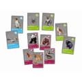 Miniatyrbild 6 av 6: CLEMENTONI - Animals planet Reality - Vetenskaplig box - Vetenskapliga experiment och virtuella aktiviteter - Formar, färger,