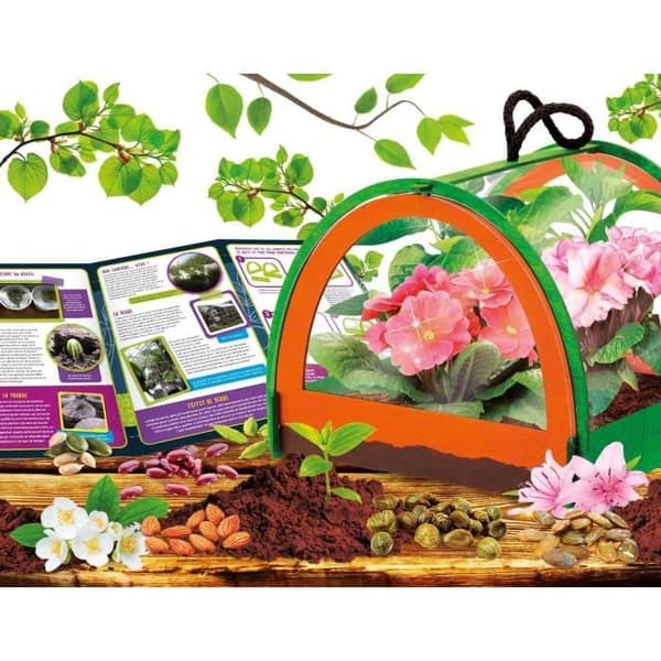 Upptäckten av botanik - Vetenskapskit - JAG ÄR EN GENIUSBOKEN - Miniatyrväxthus, Botaniska experiment