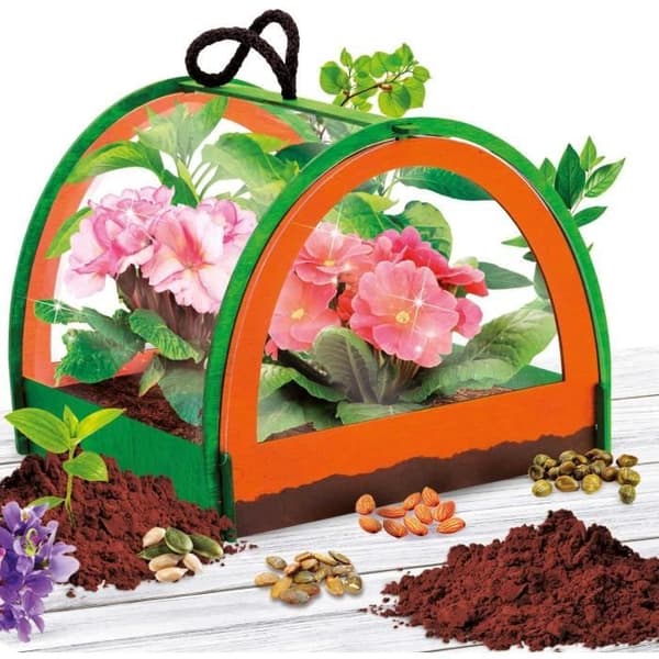 Upptäckten av botanik - Vetenskapskit - JAG ÄR EN GENIUSBOKEN - Miniatyrväxthus, Botaniska experiment