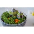 Miniatyrbild 5 av 6: Harry Potter Terrarium - CLEMENTONI - Hagrids hydda att reproducera