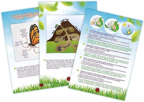 Insect Explorer - Pedagogiskt spel - Discovery-spel - BUKI