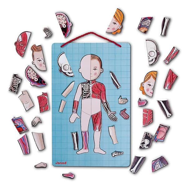 JANOD - Kroppsmagnet Anatomin - 12 språk - Från 7 år