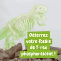 Miniatyrbild 4 av 4: Naturupptäckter - djurupptäckter - insektupptäckter Science4you - 80004109