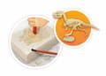Miniatyrbild 6 av 6: Pedagogiskt spel - BUKI FRANCE - Vulkaner och dinosaurier - 15 experiment - Tyrannosaurus