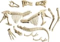 Miniatyrbild 1 av 4: Vetenskapligt experiment - fysik-kemi experiment Clementoni - 59311 - Clemen Ausgrabungs-Set T-Rex - Fossil Mo