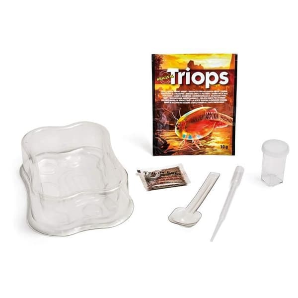 Clementoni - Vetenskap och spel - Öka dina trios