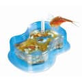 Miniatyrbild 2 av 4: Pedagogiska spel - Mina första triops - Vetenskapligt spel - Få dina triops att växa