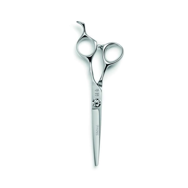 Shorai Shorai SC 5.5 - Saxar