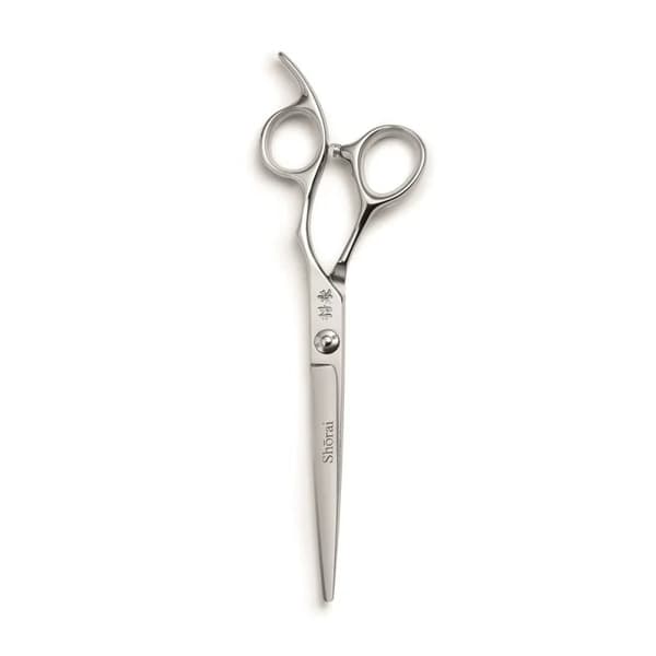 Shorai Shorai BC 6.5 - Saxar