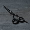Miniatyrbild 2 av 2: Joewell FX-Pro 60 Matt Black - Saxar