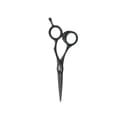 Miniatyrbild 1 av 2: Joewell FX-Pro 60 Matt Black - Saxar