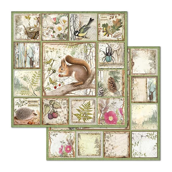 Paper Pad Stamperia - Forest - 12x12 Tum