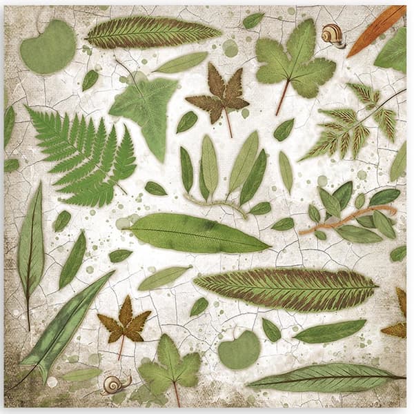 Paper Pad Stamperia - Garden House - 12x12 Tum