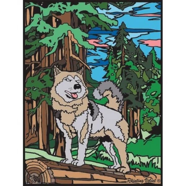 Målarbok - Vargen - pennor medföljer - 28 x 37 - målarfärg Colorvelvet