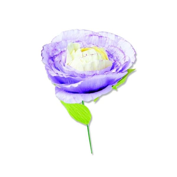 Sizzix - 665811 - Thinlits Die Set 5PK Spring Bloom av Jennifer Ogborn, Papper Plast, Flerfärgad, One Size
