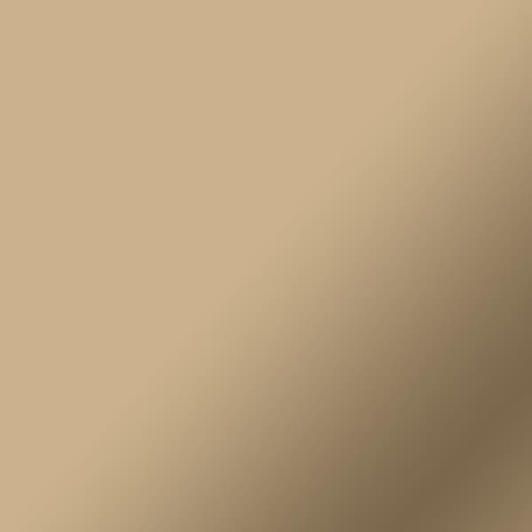 CRICUT Permanent Premium Vinyl - Guld