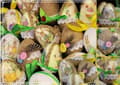 Miniatyrbild 4 av 4: Netuno scrapbooking spel