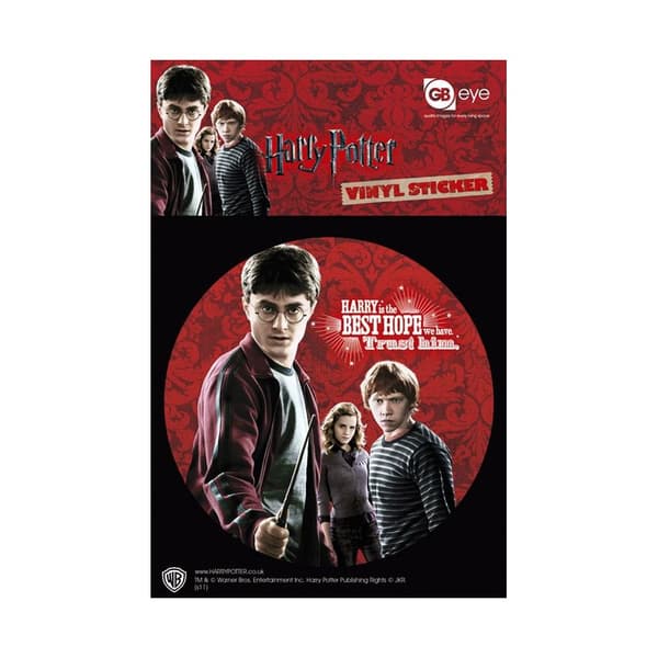 Harry Potter Vinyl Logo Stickers Multicoloured One Size