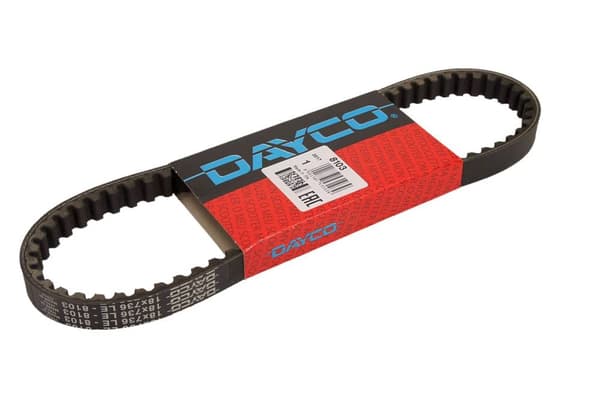 DAYCO MOTOHIHNA 18X8X736