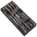 Miniatyrbild 1 av 2: FACOM skruvmejselmodul - ProTwist - 10 st - MOD.AT5