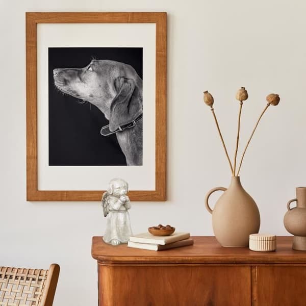 Dekoration till en hunds grav - 10036060-0