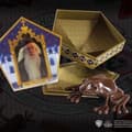 Miniatyrbild 2 av 4: Harry Potter Choklad Groda Replika
