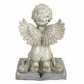 Miniatyrbild 3 av 4: Staty - Design Toscano-statyett - NG30875 - av en bedjande cherubstaty
