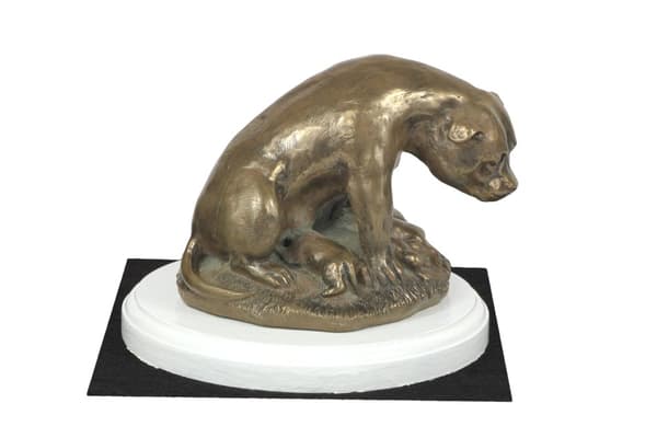 American Staffordshire terrier, Amstaff, Amstaf I - hundstatyett, statyett på vit bas, trofé för hundutställning av Art-Dog