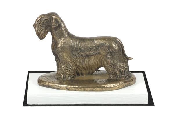 Tšekkiterrieri, ceskyterrieri - koirapatsas, hahmo valkoisella pohjalla, palkinto koiranäyttelyyn Art-Dog