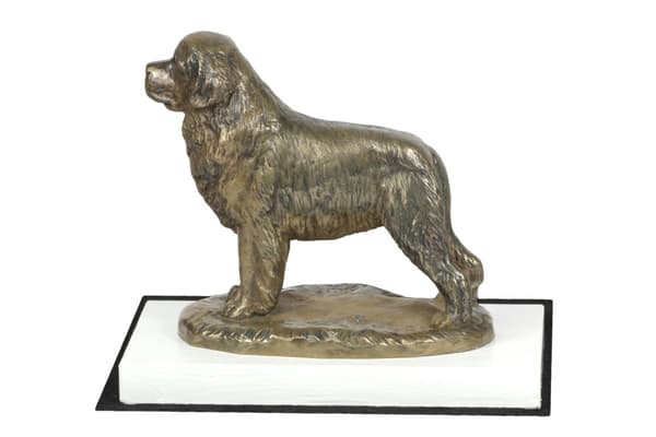 Newfoundland, Newfoundland, Wodołaz - koirapatsas, hahmo valkoisella pohjalla, palkinto koiranäyttelyyn Art-Dog