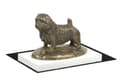 Miniatyrbillede 4 af 5: Norfolk Terrier - hundestatuette, figur på hvid bund, trofæ til hundeudstillingen Art-Dog