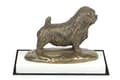 Miniatyrbillede 1 af 5: Norfolk Terrier - hundestatuette, figur på hvid bund, trofæ til hundeudstillingen Art-Dog