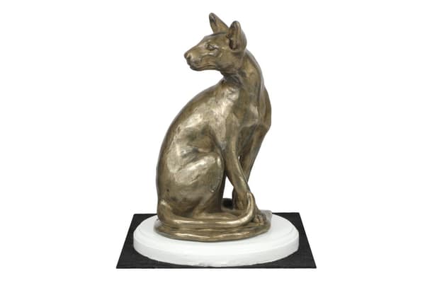 Egyptin Mau -kissa - kissapatsas, hahmo valkoisella pohjalla, Art-Dogin palkinto koiranäyttelyyn