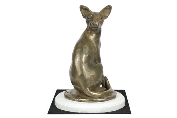 Egyptin Mau -kissa - kissapatsas, hahmo valkoisella pohjalla, Art-Dogin palkinto koiranäyttelyyn